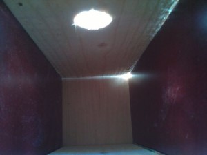 Nestbox test image